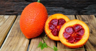 2 cách đơn giản dùng hạt gấc chữa bệnh trĩ: làm bớt đau, co búi trĩ